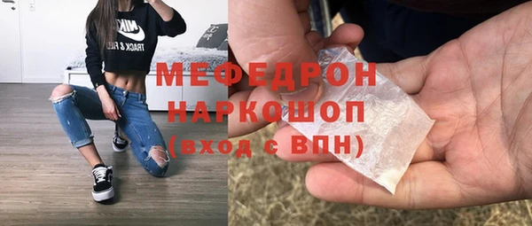 молекула духа Богданович