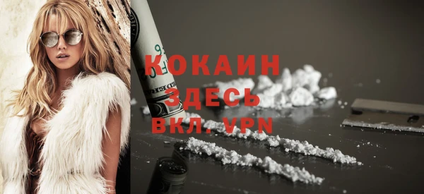 молекула духа Богданович