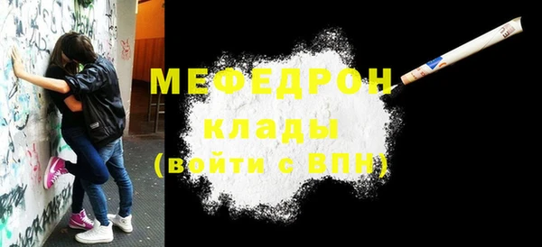 молекула духа Богданович