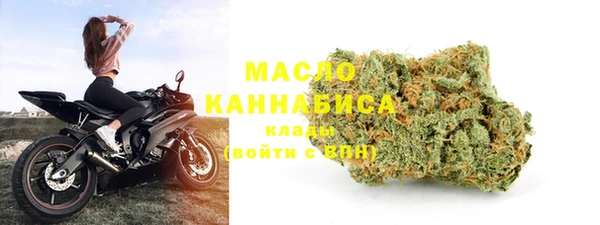 молекула духа Богданович