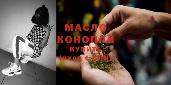 молекула духа Богданович