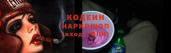 молекула духа Богданович