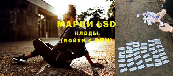 молекула духа Богданович