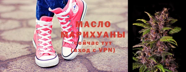 молекула духа Богданович