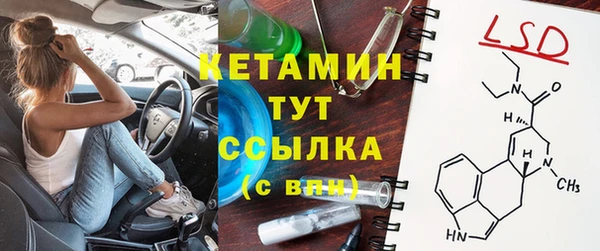 молекула духа Богданович