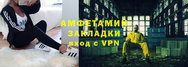 молекула духа Богданович