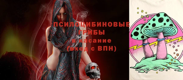 ПСИЛОЦИБИНОВЫЕ ГРИБЫ Богородицк